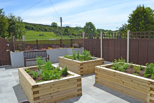 Raised beds at Plas Garnedd